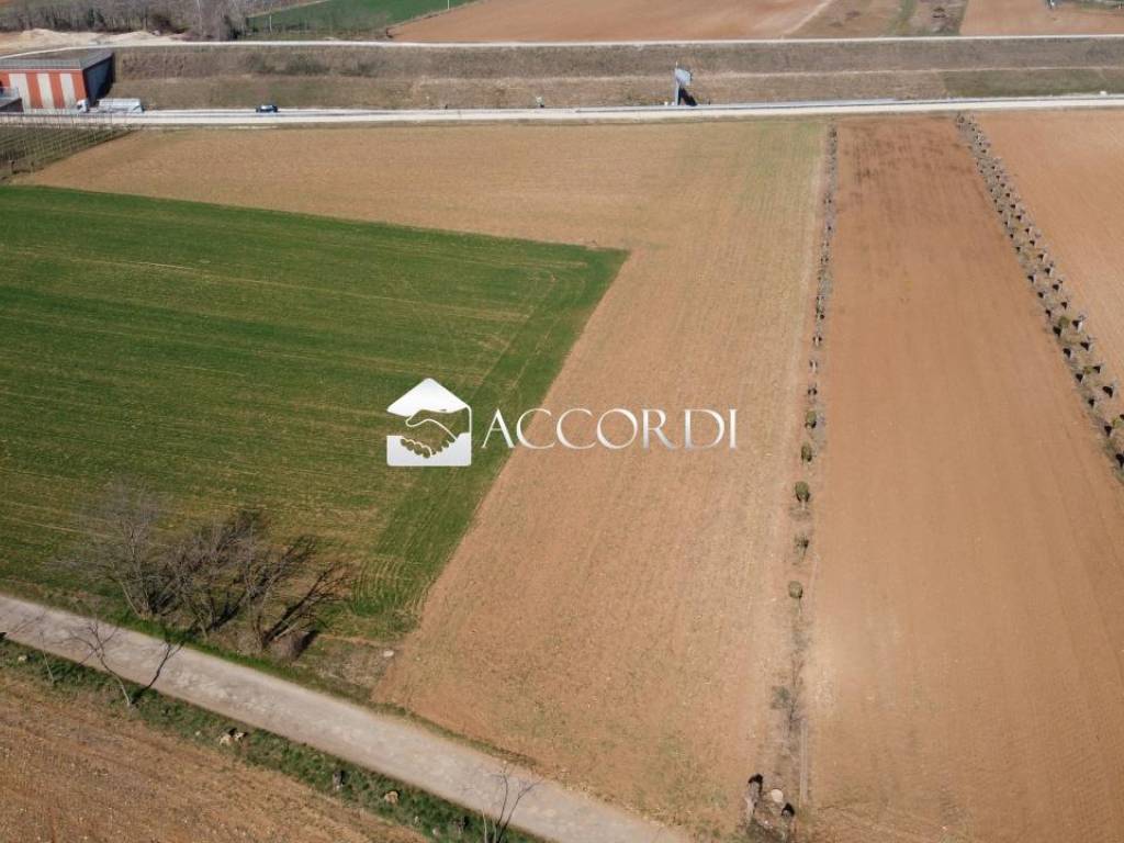 terreno agricolo in vendita a Trevignano