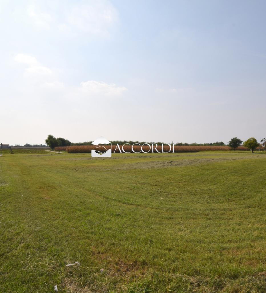 negozio in vendita a Trevignano