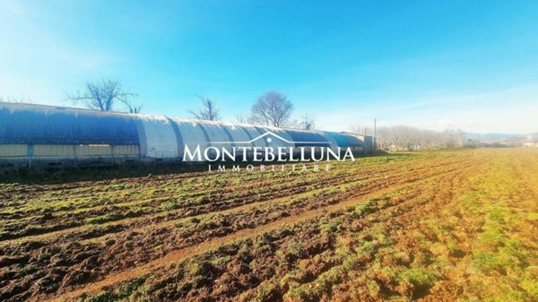 terreno agricolo in vendita a Trevignano