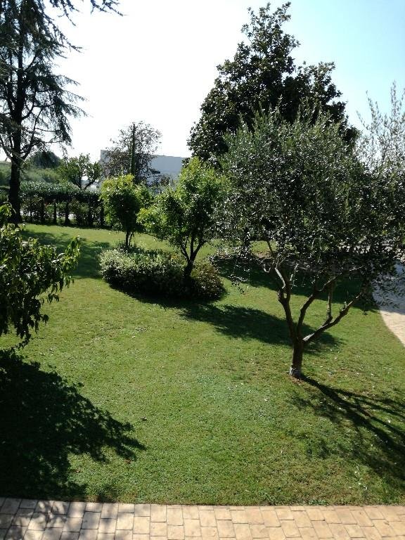 casa indipendente in vendita a Trevignano in zona Signoressa