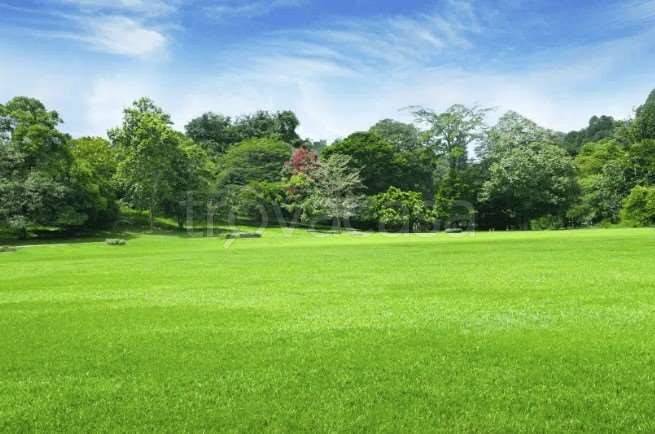 terreno agricolo in vendita a Trevignano