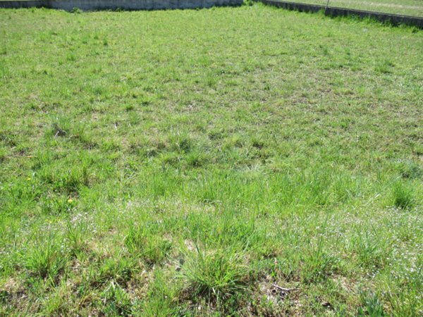 terreno edificabile in vendita a Trevignano in zona Musano