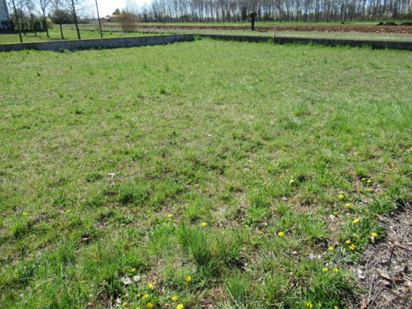 terreno edificabile in vendita a Trevignano in zona Musano