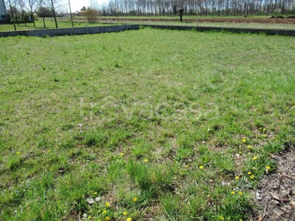 terreno edificabile in vendita a Trevignano in zona Musano