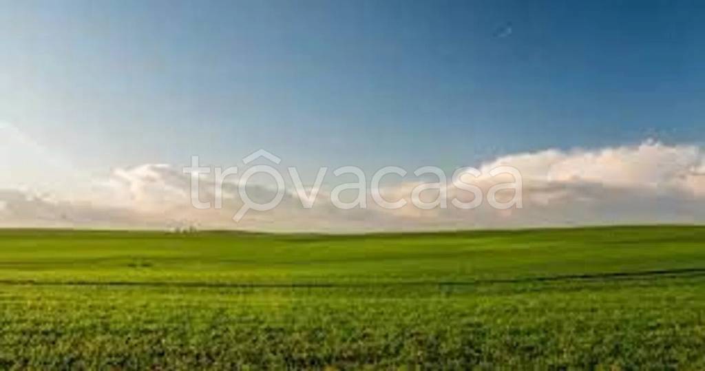 immagine annuncio 0 di 2