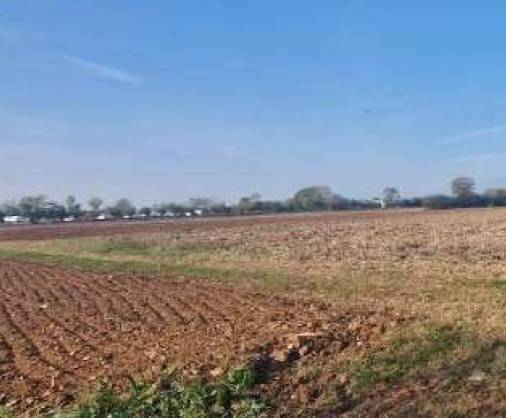 terreno agricolo in vendita a Trevignano