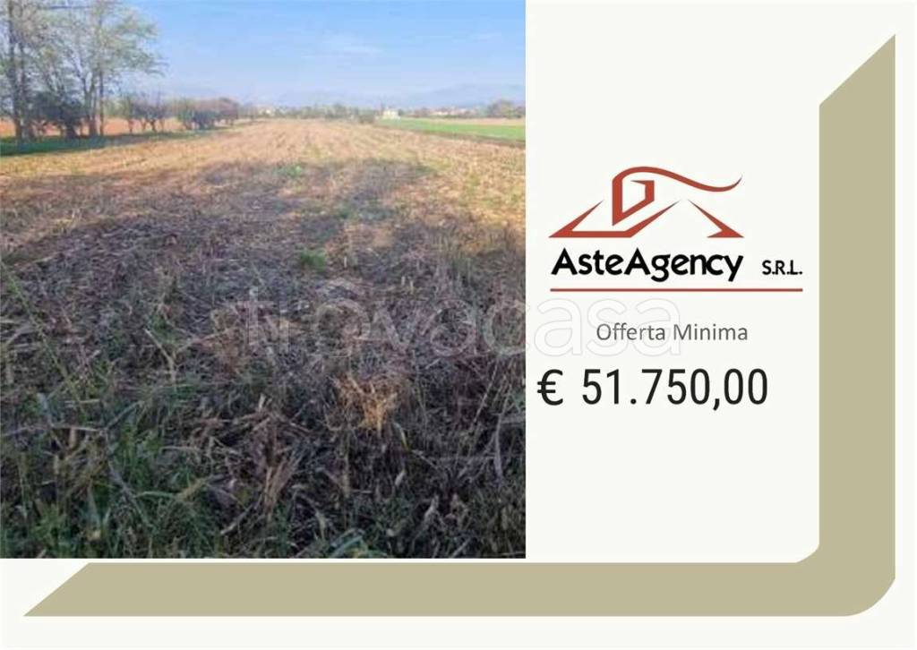 terreno agricolo in vendita a Trevignano