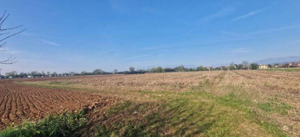 terreno agricolo in vendita a Trevignano
