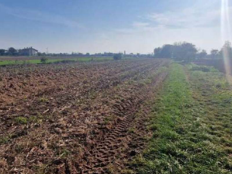 terreno agricolo in vendita a Trevignano