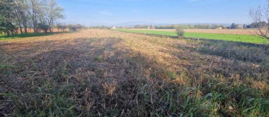 terreno agricolo in vendita a Trevignano