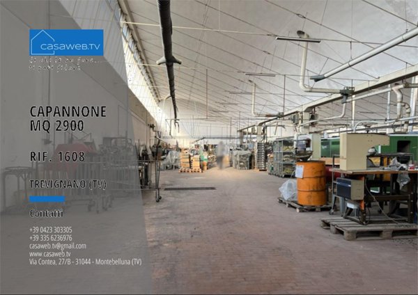 negozio in vendita a Trevignano in zona Signoressa