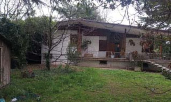 casa indipendente in vendita a Trevignano
