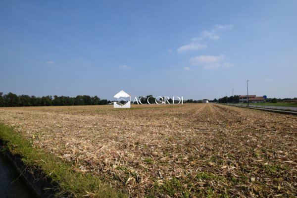 terreno agricolo in vendita a Trevignano