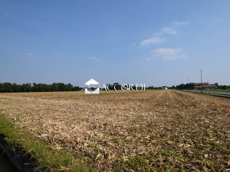 terreno agricolo in vendita a Trevignano
