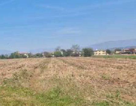 terreno agricolo in vendita a Trevignano