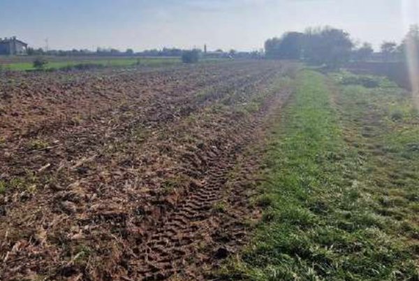 terreno agricolo in vendita a Trevignano