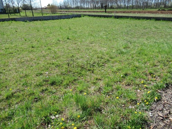 terreno edificabile in vendita a Trevignano in zona Musano