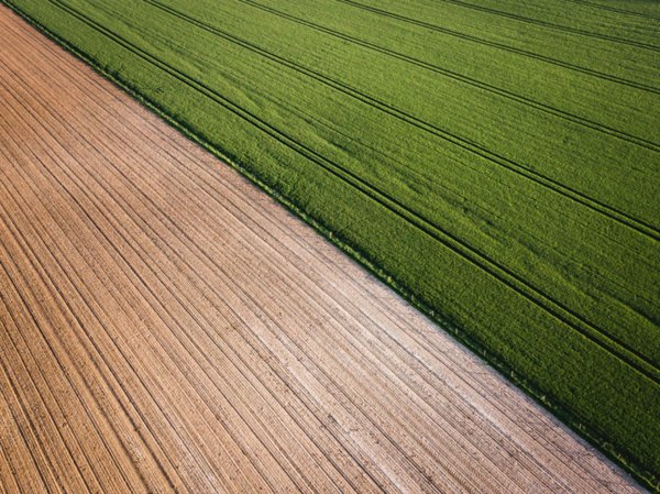 terreno agricolo in vendita a Trevignano in zona Signoressa