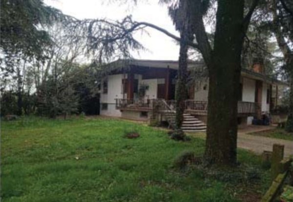 immagine annuncio 0 di 1