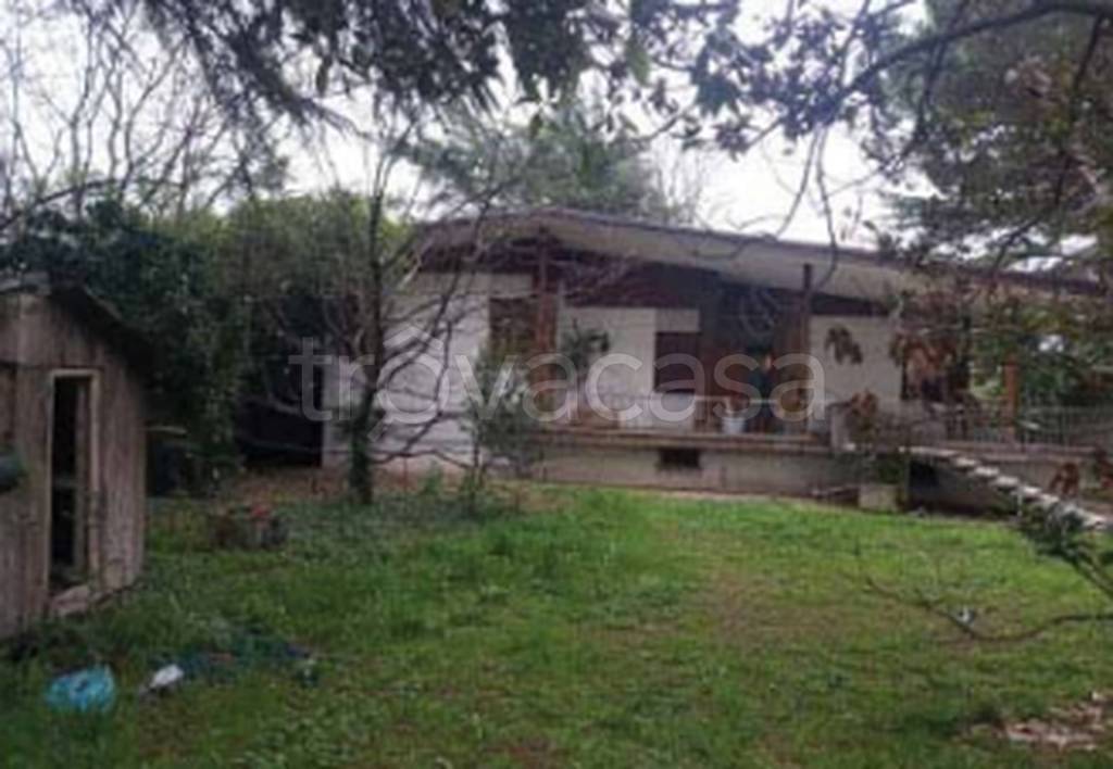 immagine annuncio 0 di 10