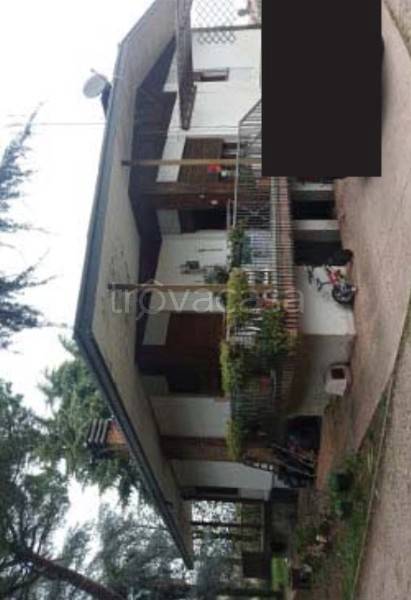 appartamento in vendita a Trevignano