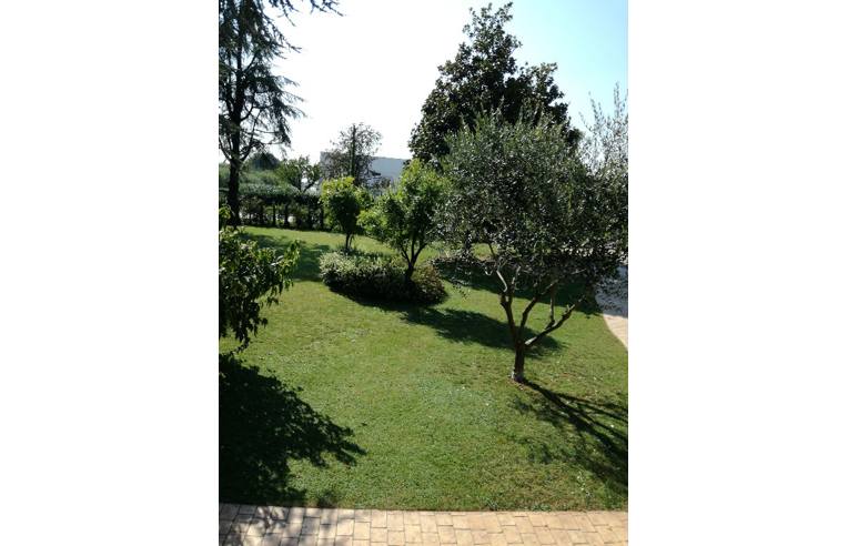 casa indipendente in vendita a Trevignano in zona Signoressa