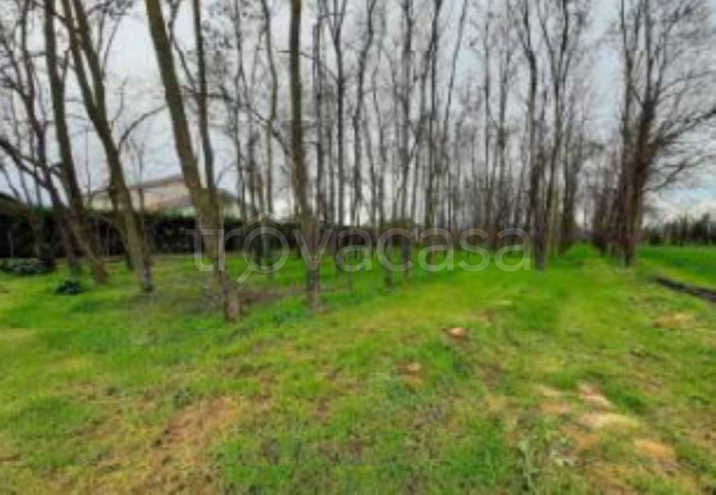 terreno agricolo in vendita a Treviso in zona Monigo