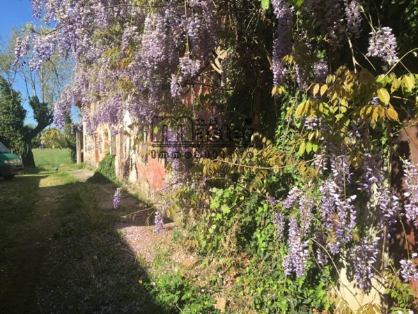 casa indipendente in vendita a Treviso in zona Centro Storico