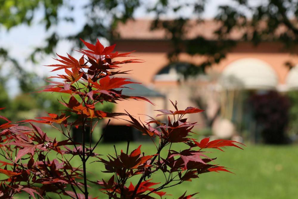 casa indipendente in vendita a Treviso in zona Centro Storico