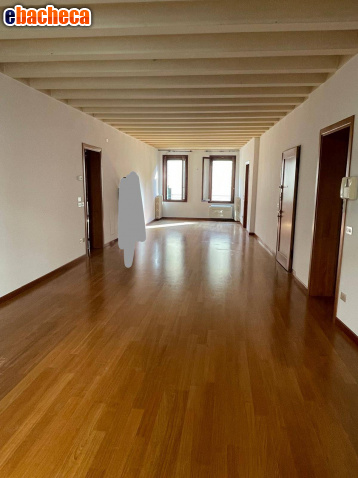 appartamento in vendita a Treviso