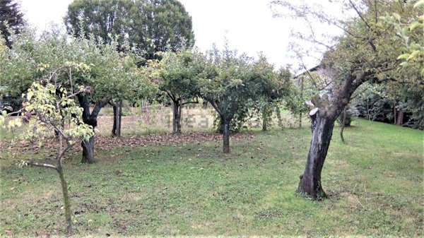 casa indipendente in vendita a Treviso in zona Canizzano