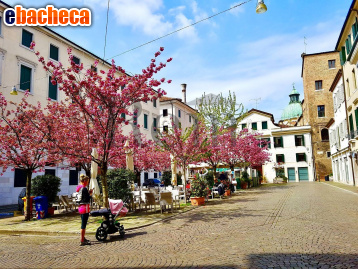 negozio in vendita a Treviso