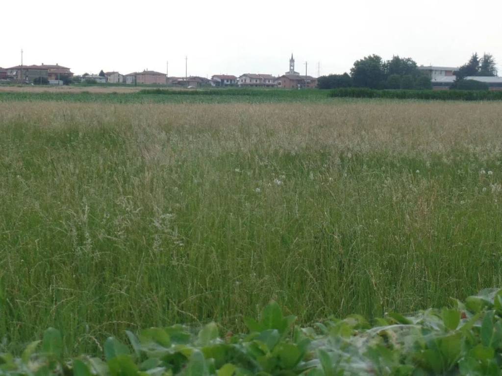 terreno edificabile in vendita a Treviso in zona Centro Storico