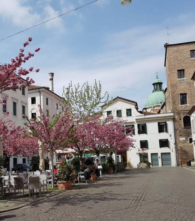 appartamento in vendita a Treviso in zona Centro Storico