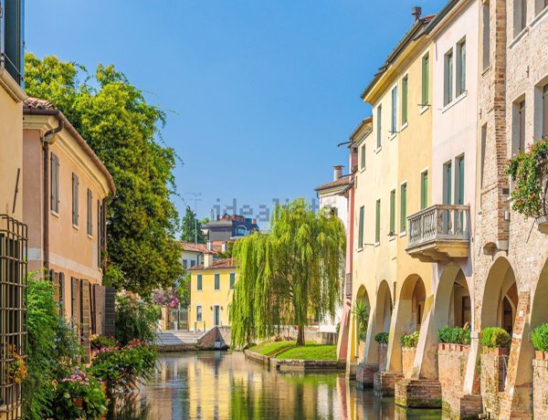 esavano in vendita a Treviso