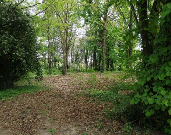 terreno agricolo in vendita a Treviso