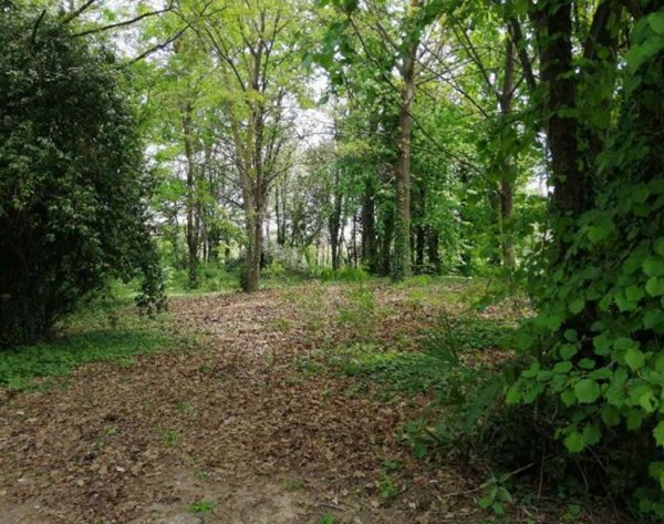 terreno agricolo in vendita a Treviso