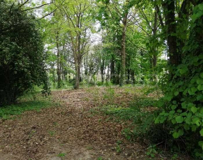 appartamento in vendita a Treviso in zona Ghirada / San Zeno