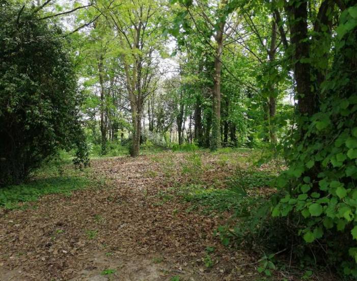 terreno agricolo in vendita a Treviso