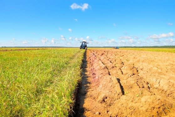 terreno agricolo in vendita a Treviso in zona San Lazzaro