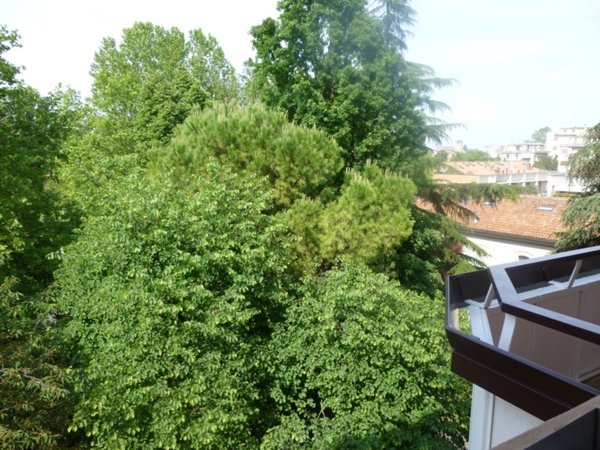 appartamento in vendita a Treviso in zona Centro Storico