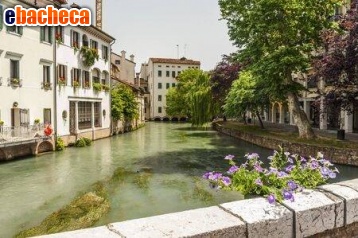 appartamento in vendita a Treviso in zona Centro Storico