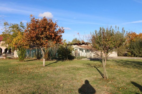 negozio in vendita a Treviso in zona Sant'Antonino