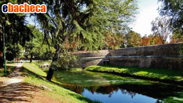 appartamento in vendita a Treviso in zona Centro Storico