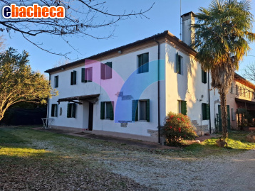 casa indipendente in vendita a Treviso
