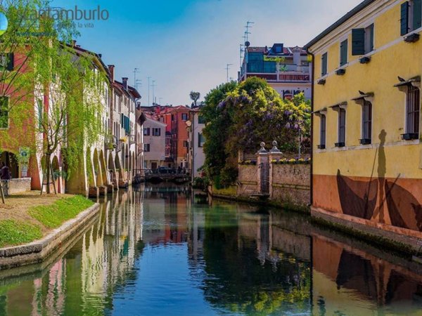 negozio in vendita a Treviso in zona Centro Storico