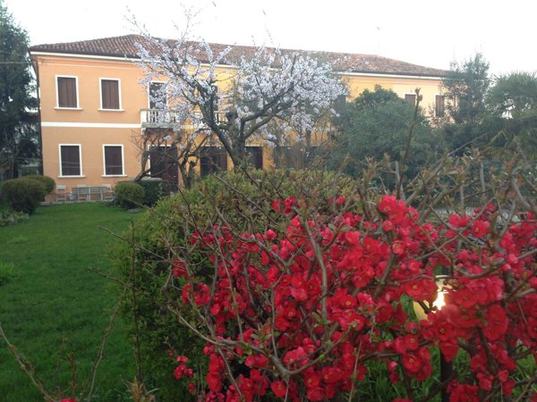 casa indipendente in vendita a Treviso in zona Centro Storico