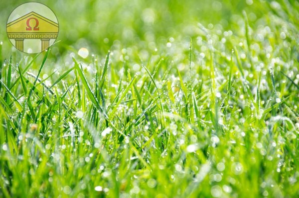 terreno agricolo in vendita a Treviso in zona Monigo