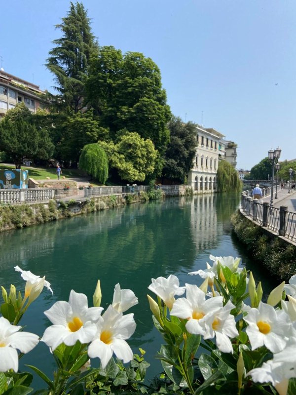 appartamento in vendita a Treviso
