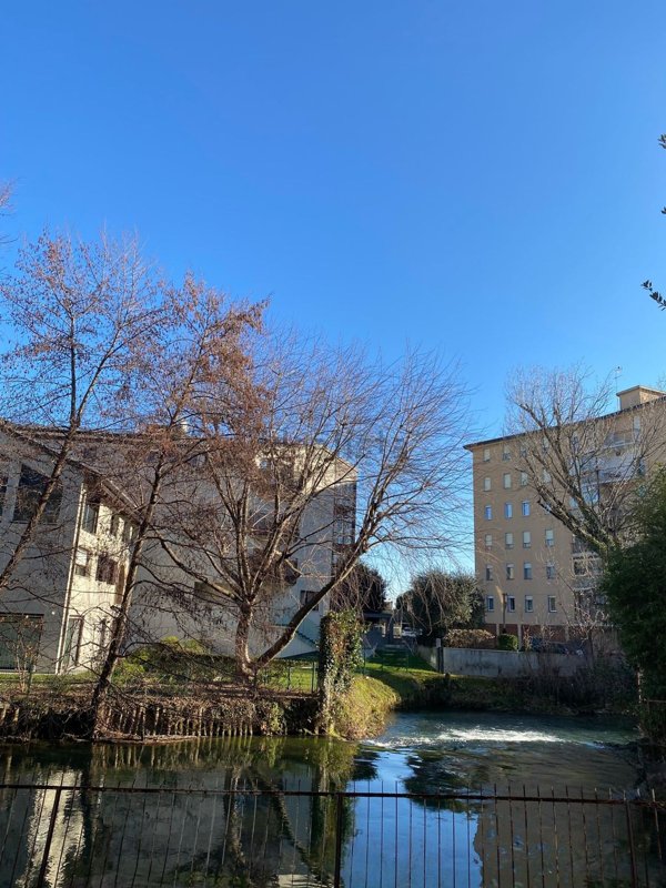 appartamento in vendita a Treviso in zona Centro Storico